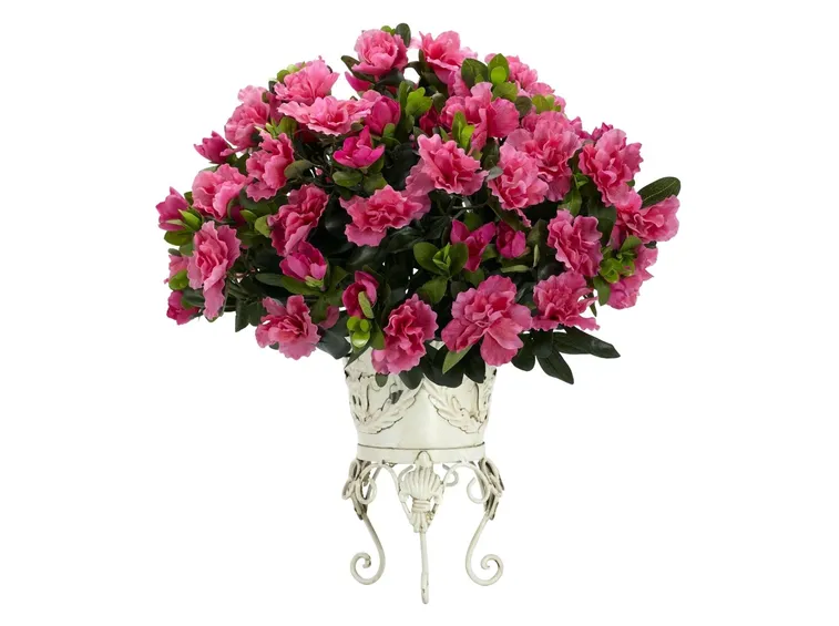 Un bellissimo bouquet di azalee