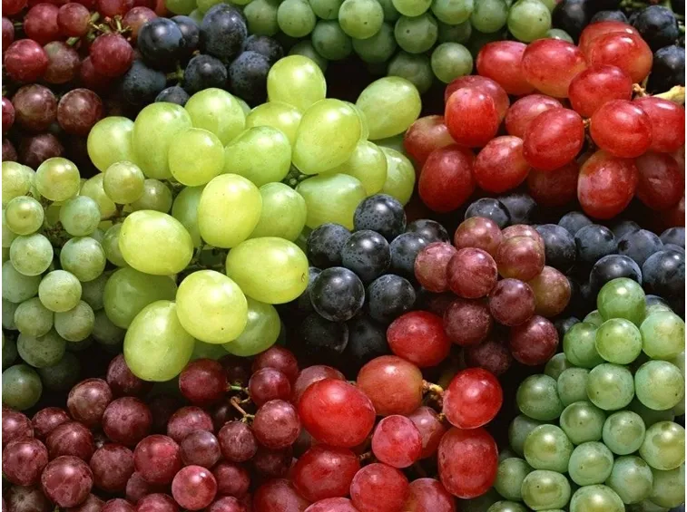 uva nera