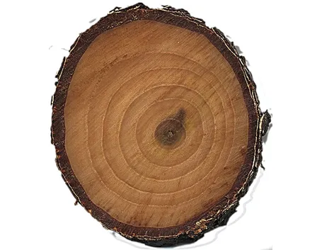 Il legno