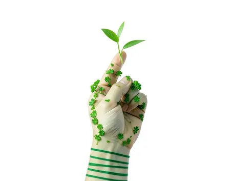 Domande e Risposte Giardinaggio