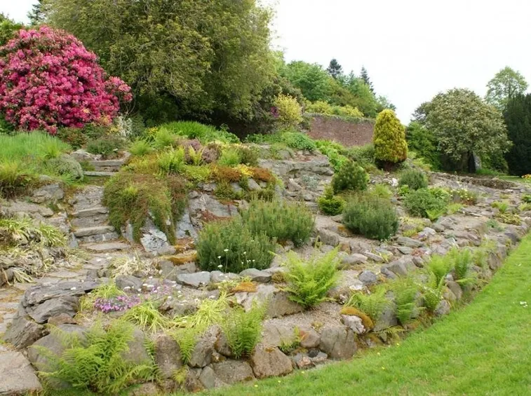 giardino roccioso