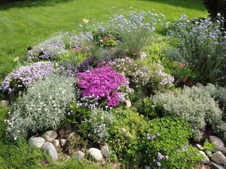 giardino roccioso
