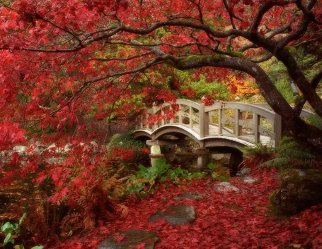 Giardini giapponesi