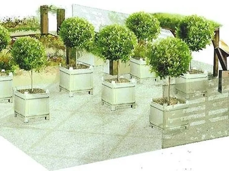 creare un giardino
