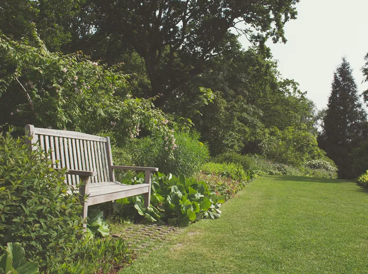 Giardino come curare