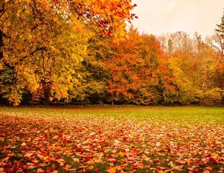 prato ottobre