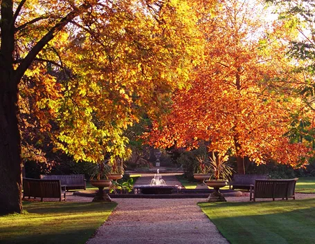 giardino ottobre