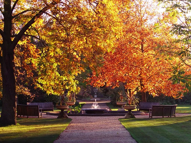 giardino ottobre