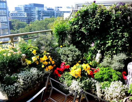 balcone a settembre