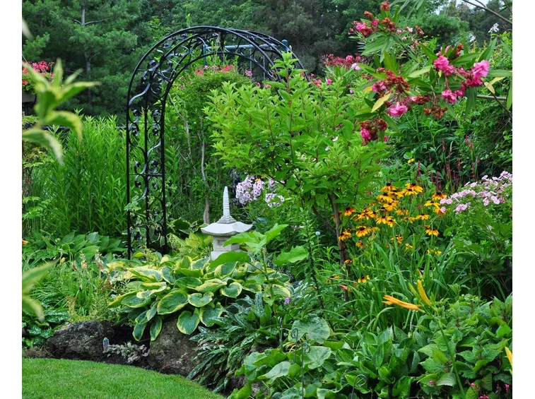 arbusti giardino