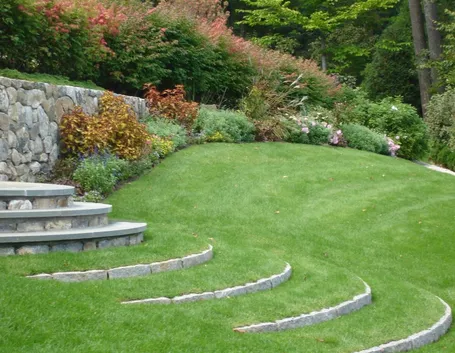 erba giardino