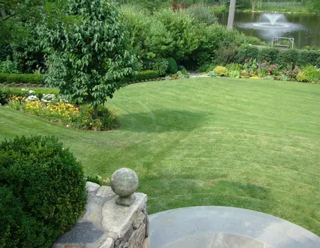 Erba per giardino
