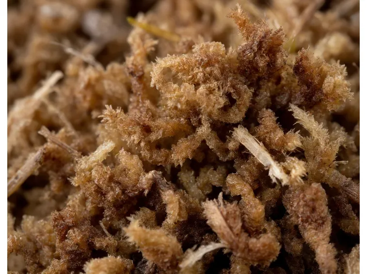 Torba asciutta