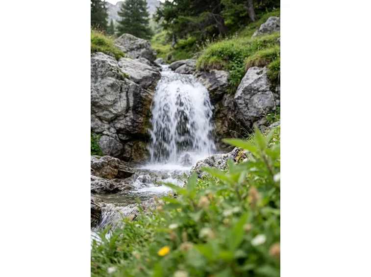 Il Parco del Gran Paradiso