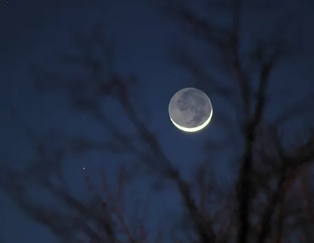 Luna e potatura