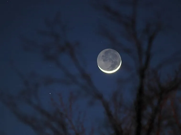 Luna e potatura