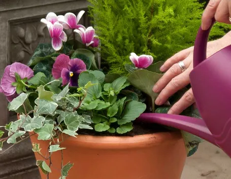 Irrigazione giardino