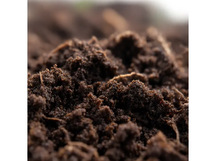 Humus terra