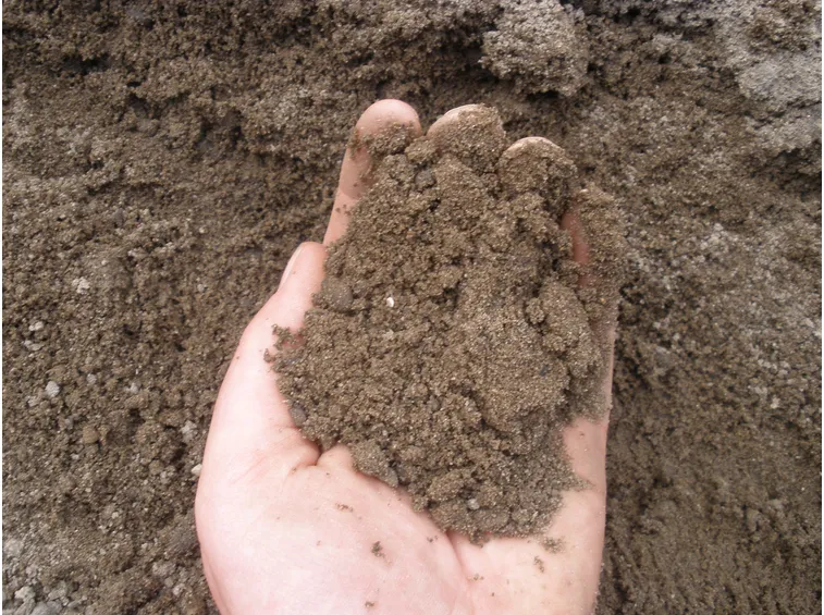 Terreno sabbioso