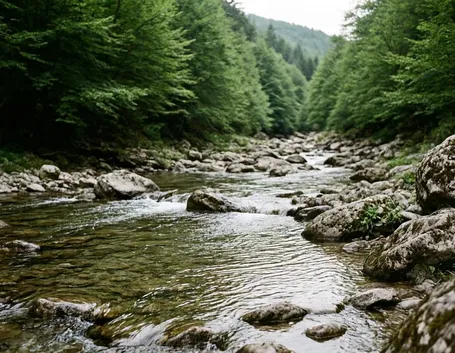 Parco nazionale Abruzzo, Lazio e Molise
