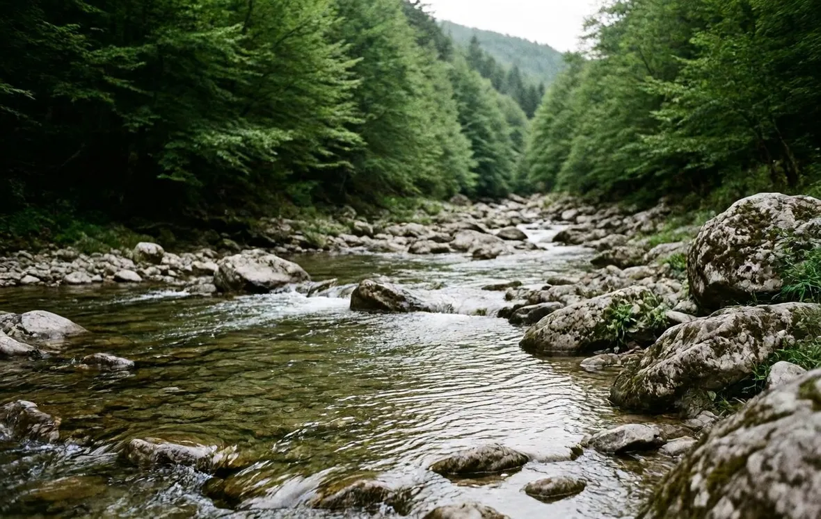 Parco nazionale Abruzzo, Lazio e Molise
