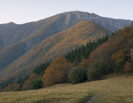 Monte Falterona