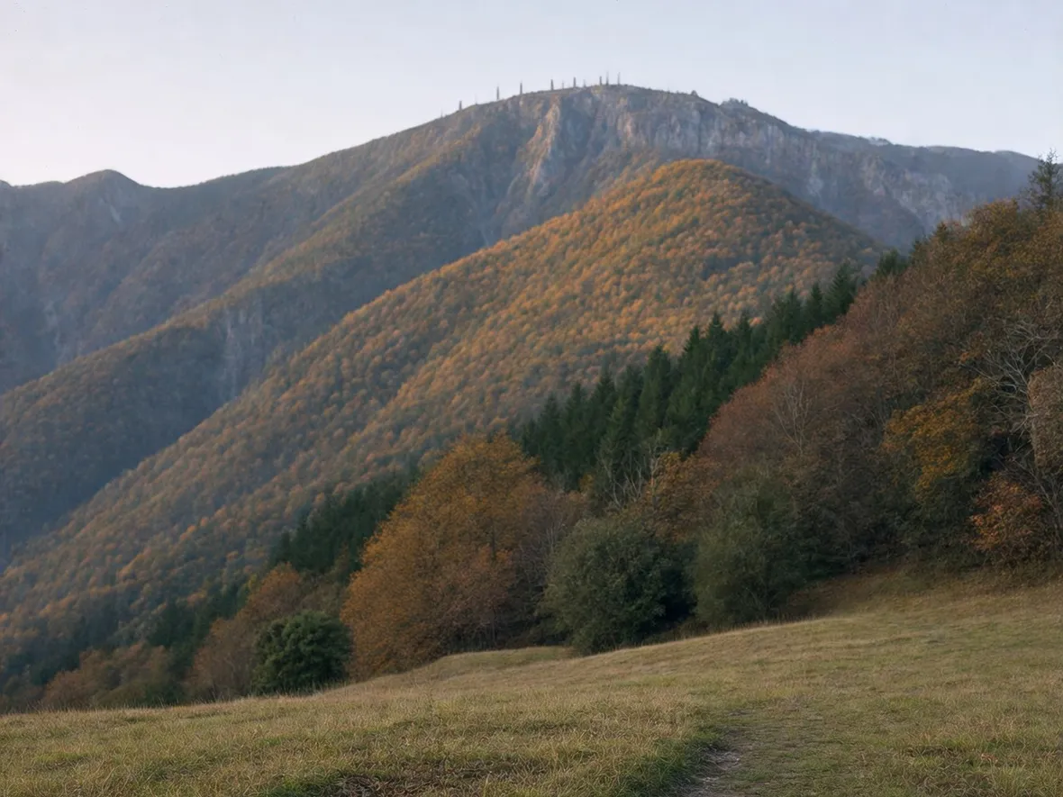 Monte Falterona