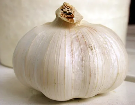 aglio