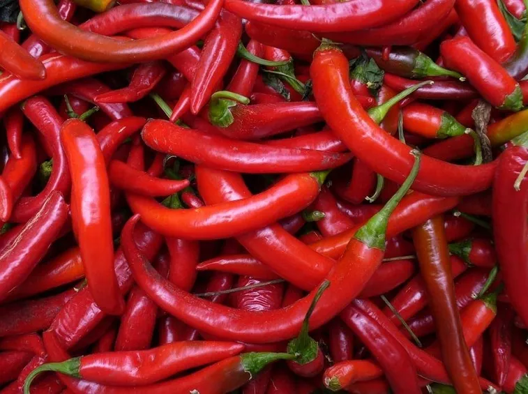 Peperoncini rossi