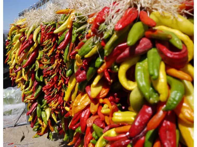 Varie specie di Jalapeno