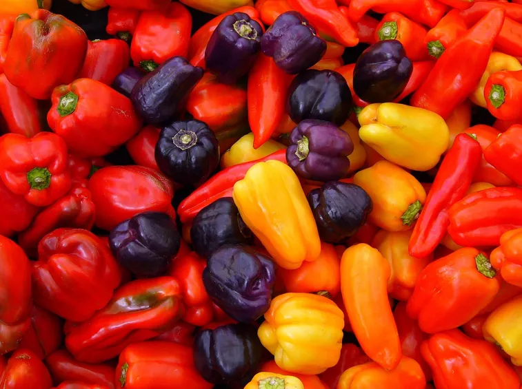 Varietà di peperoncino