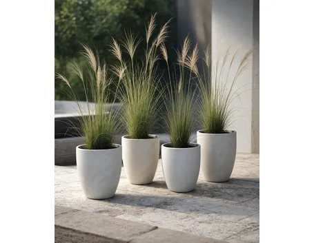 Piante in vaso