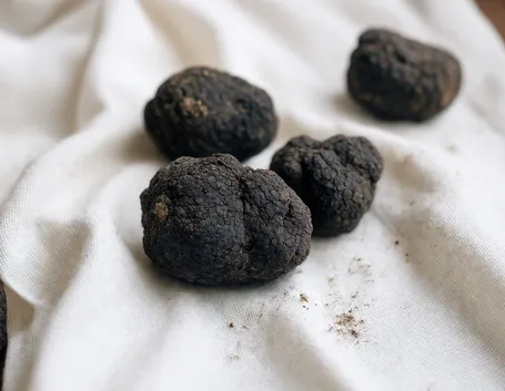 tartufo