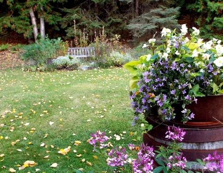giardino in ottobre