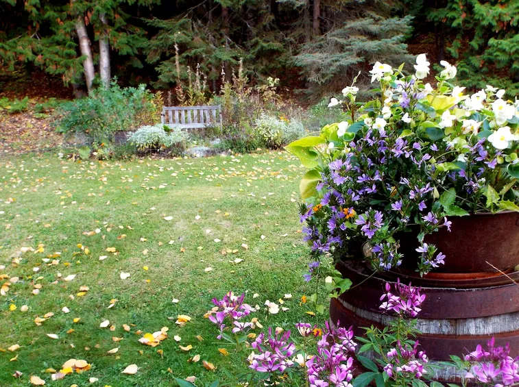 giardino in ottobre