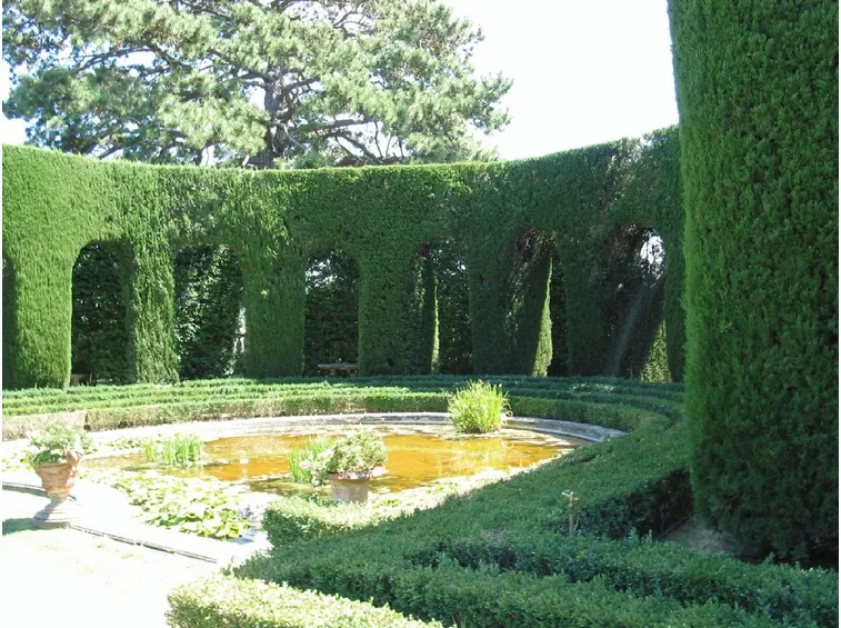 Siepe decorativa artistica