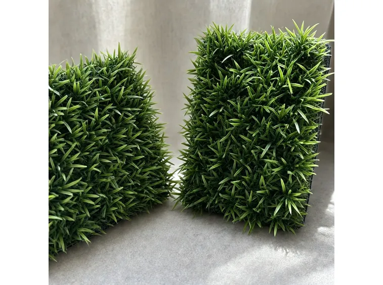 Particolare siepe ad ago