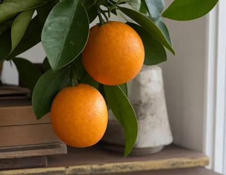 Arancio