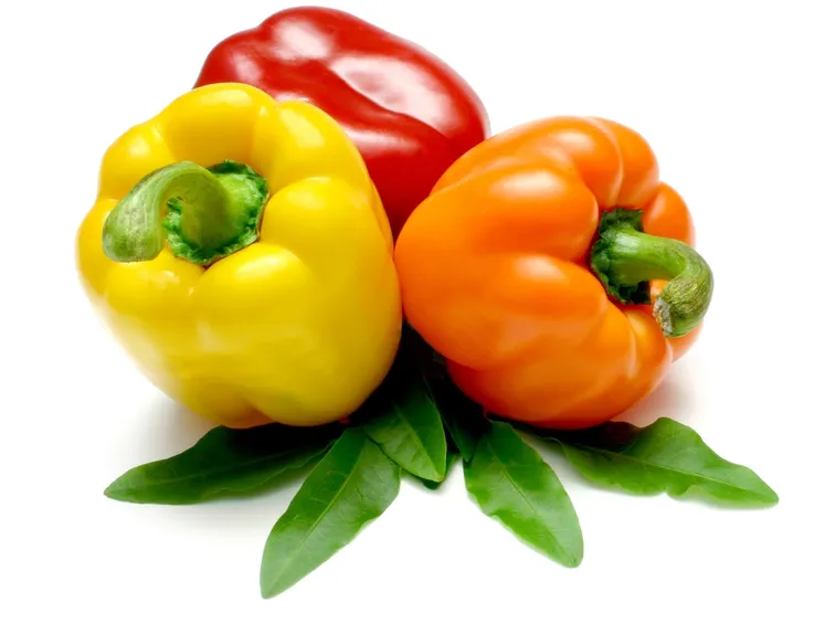 origini peperoni