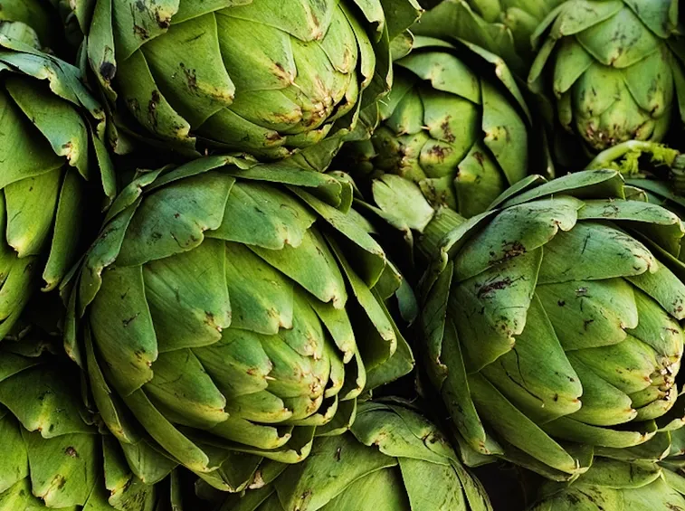 carciofi