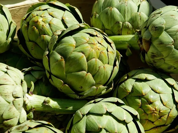 carciofi