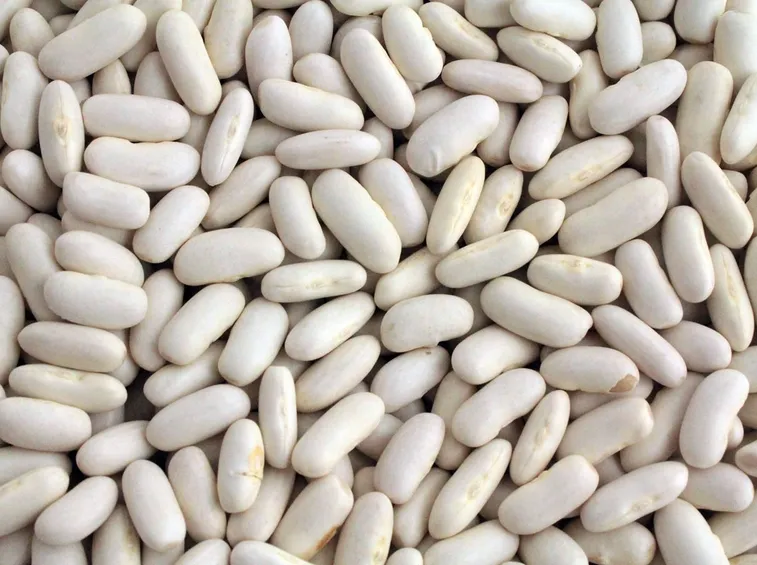 fagioli cannellini