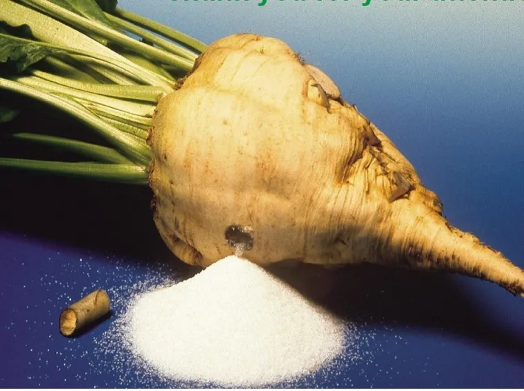 Barbabietola zucchero