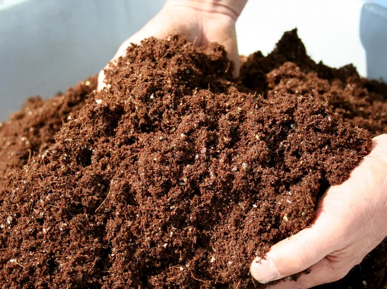 compost