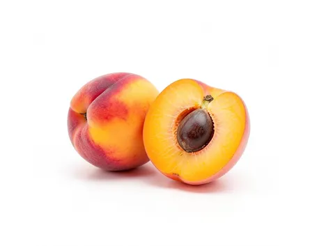 alicocca