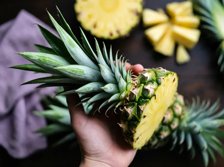 Il frutto della pianta di ananas
