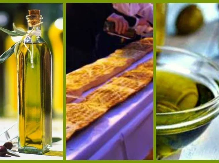 Olio tipico canino