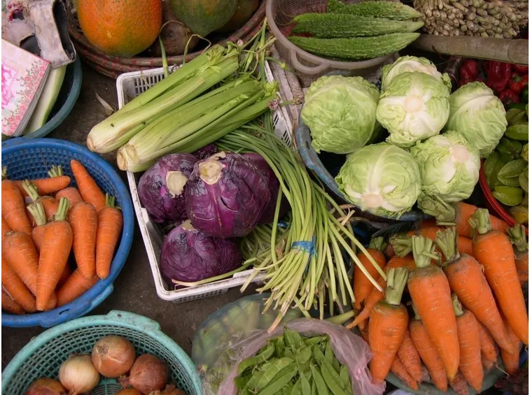 agricoltura bio