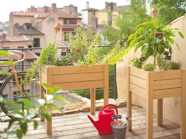 coltivazione in terrazza
