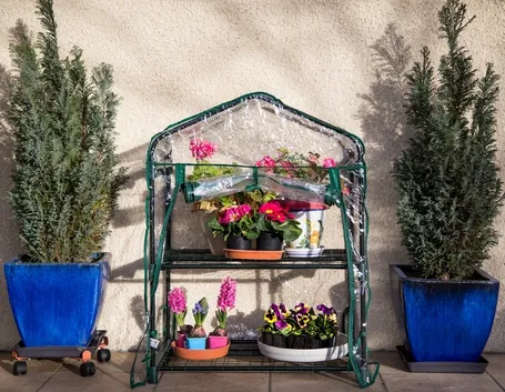 mini serra da balcone